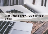 seo优化搜索引擎排名（seo搜索引擎优化介绍）